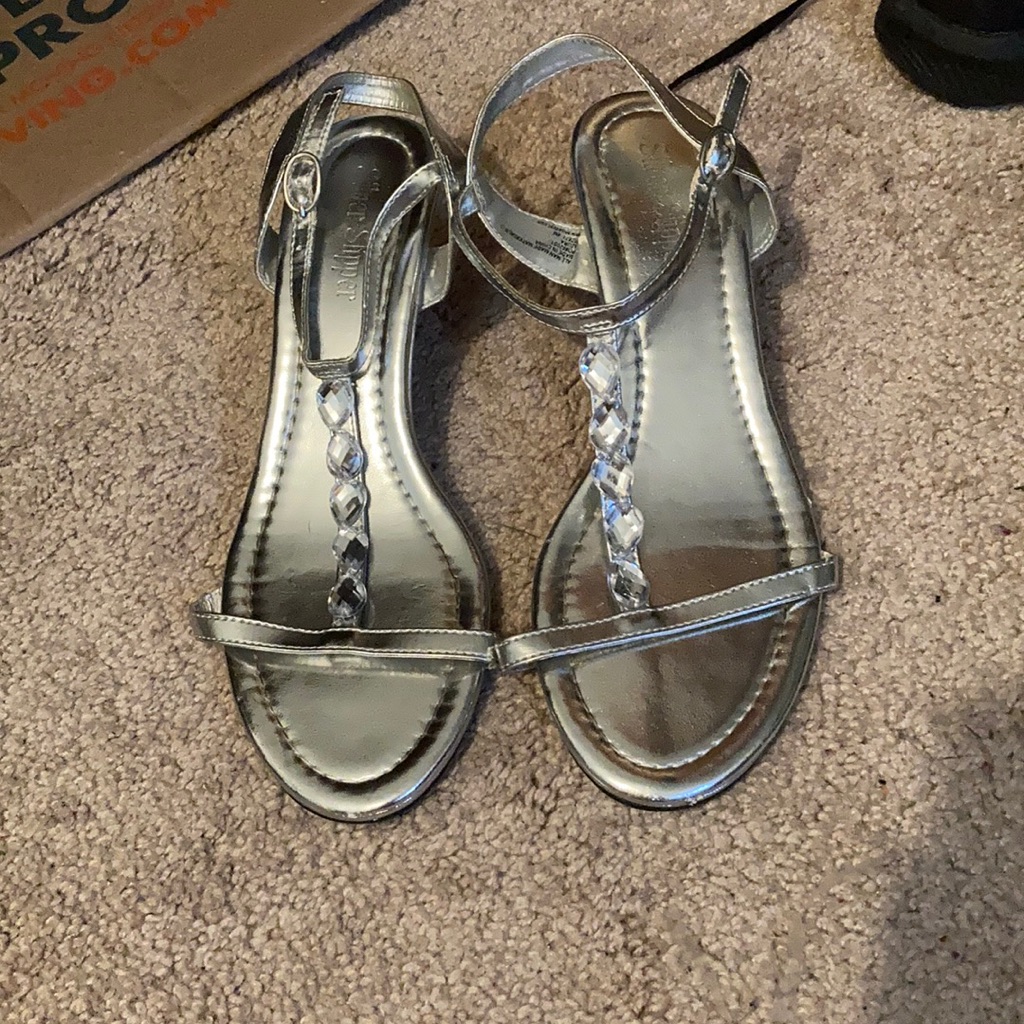 Silver Slipper Silver Heels